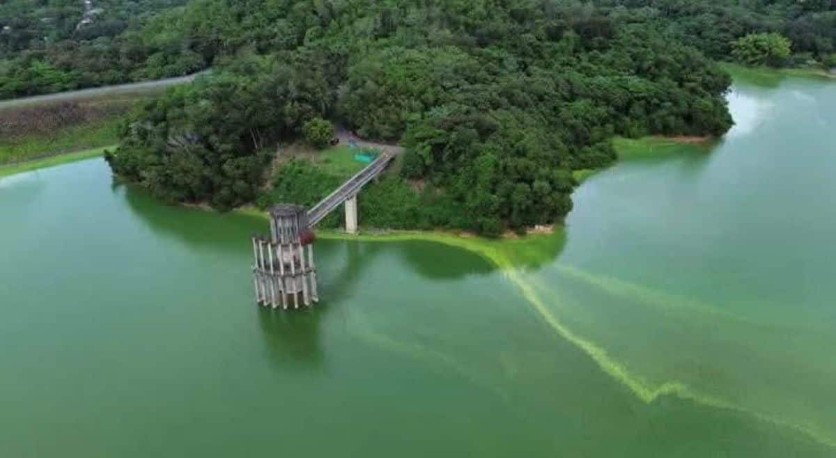 VIDEO | Autoridades realizarán trabajos de limpieza en cola de la presa de Hatillo