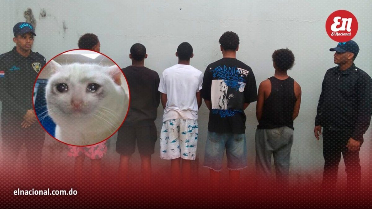 ¡Apresados! PN detiene a cinco jóvenes que prendieron fuego a un gato