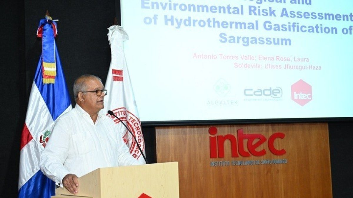 Buenas nuevas!: Investigadores obtienen energía del sargazo y logran separar el arsénico del alga
