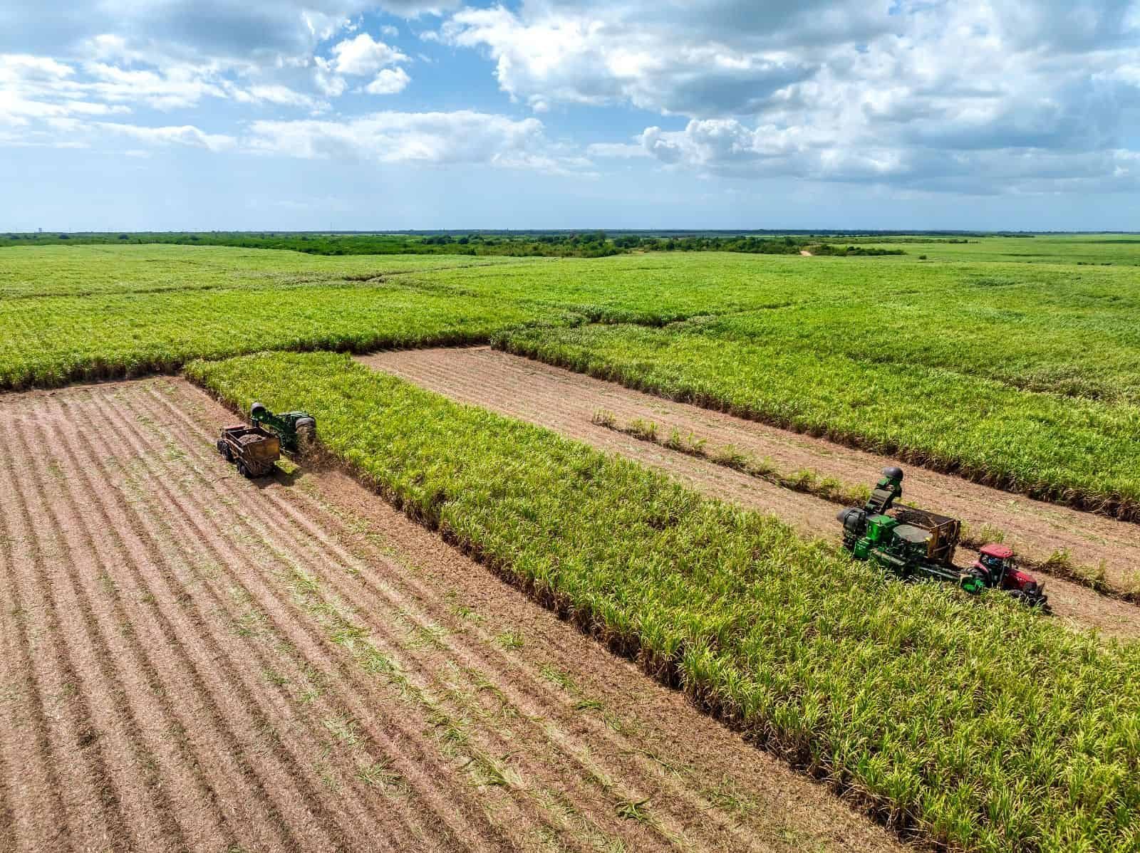 El territorio que aprendió a producir futuro en la República Dominicana