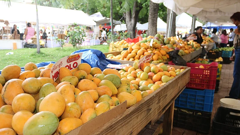 Expo Mango 2026 reunirá cultura, innovación y sabor en Baní