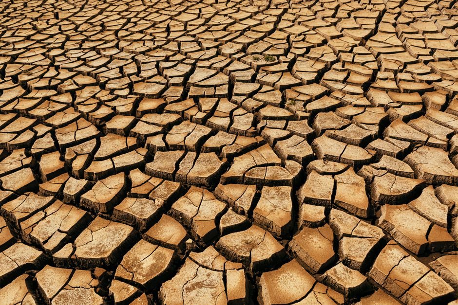 Desertificación y sequía, dos problemas ambientales convertidos en riesgos sistémicos
