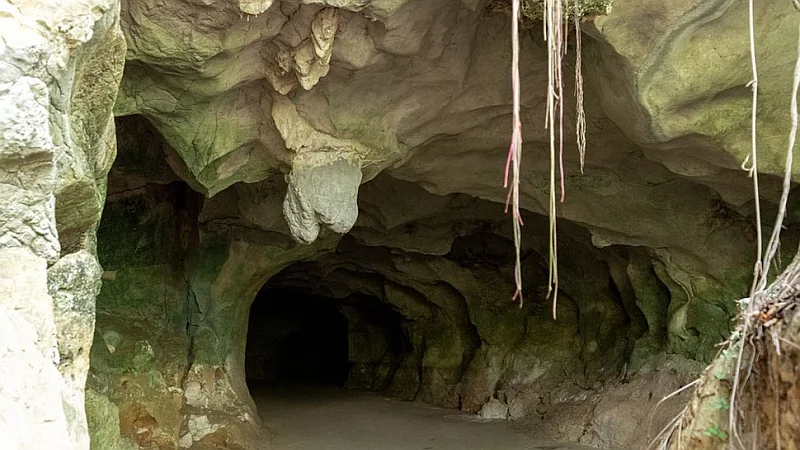 Abinader declara de utilidad pública terrenos del Monumento Natural Cuevas del Pomier