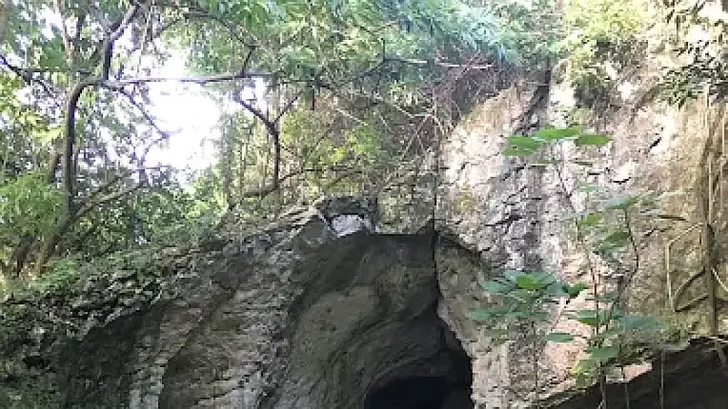 Empresa Docalsa rechaza acusaciones de daños en Las Cuevas del Pomier