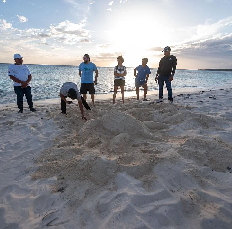 Ministerio de Medio Ambiente inicia plan piloto para seguimiento de tortugas marinas
