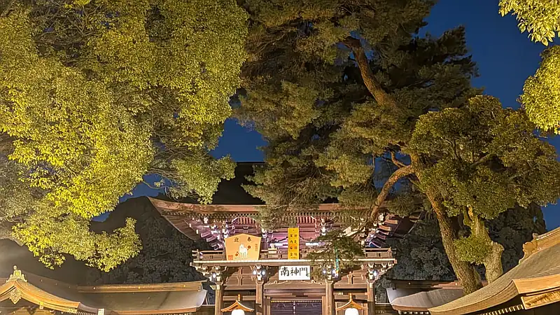 Japón: explorando Tokio sin pausa