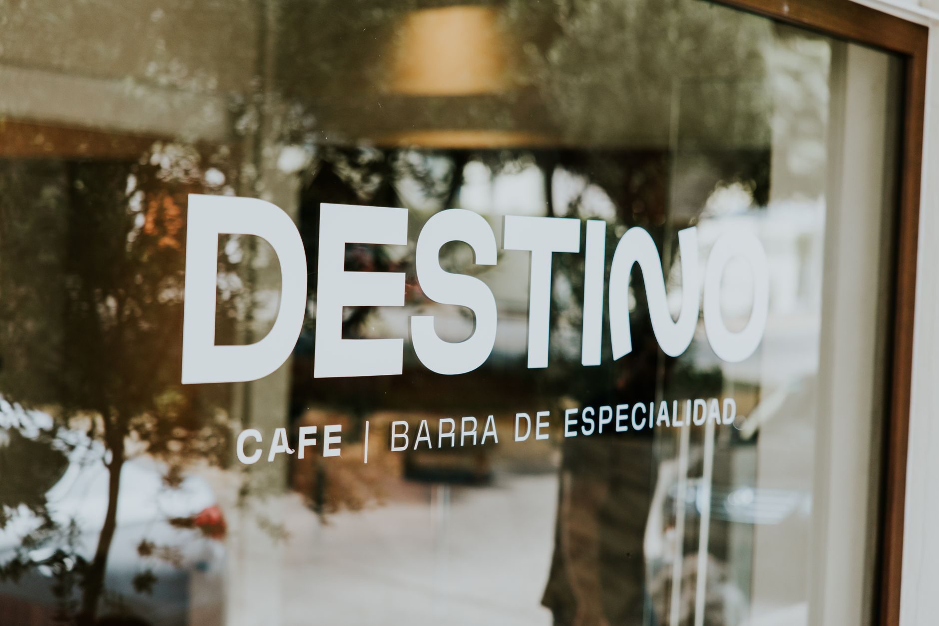 República Dominicana se posiciona como destino clave del turismo de bienestar