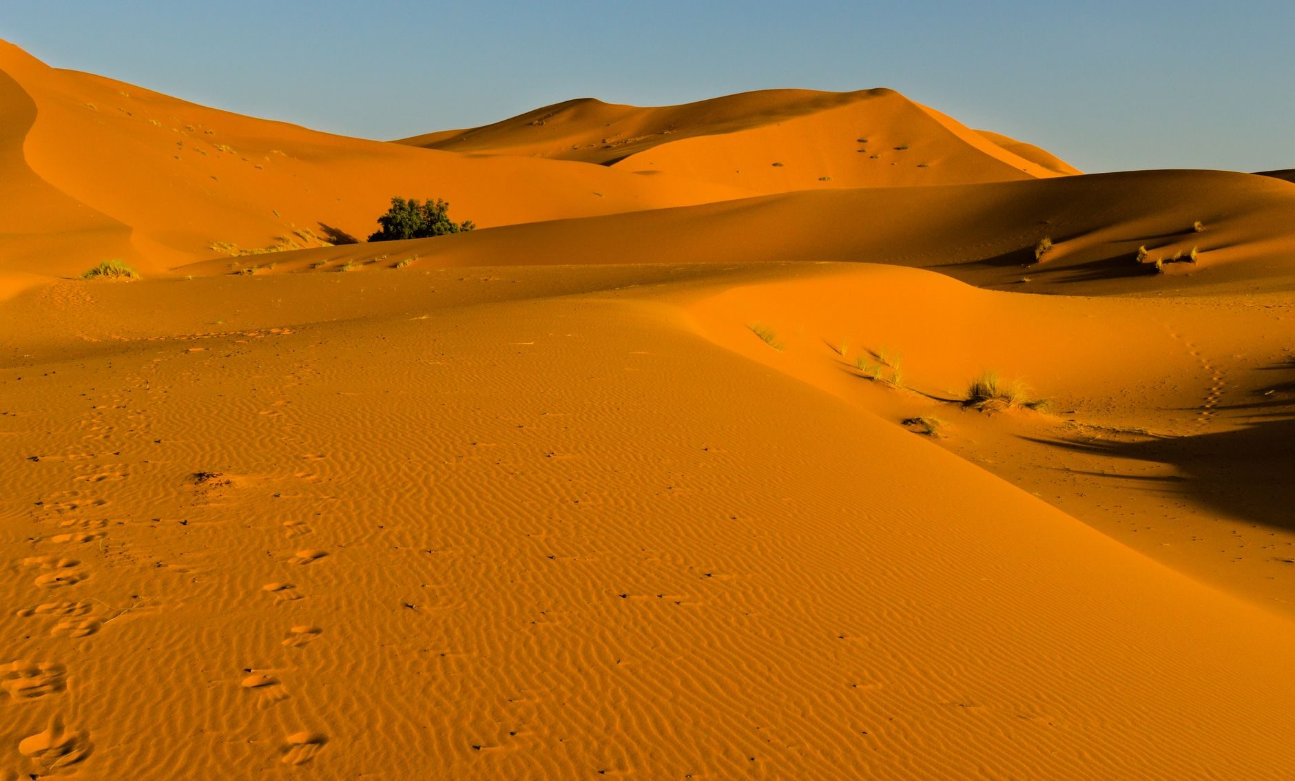 Polvo del Sahara mantendrá ambiente caluroso y cielo grisáceo durante gran parte de la semana