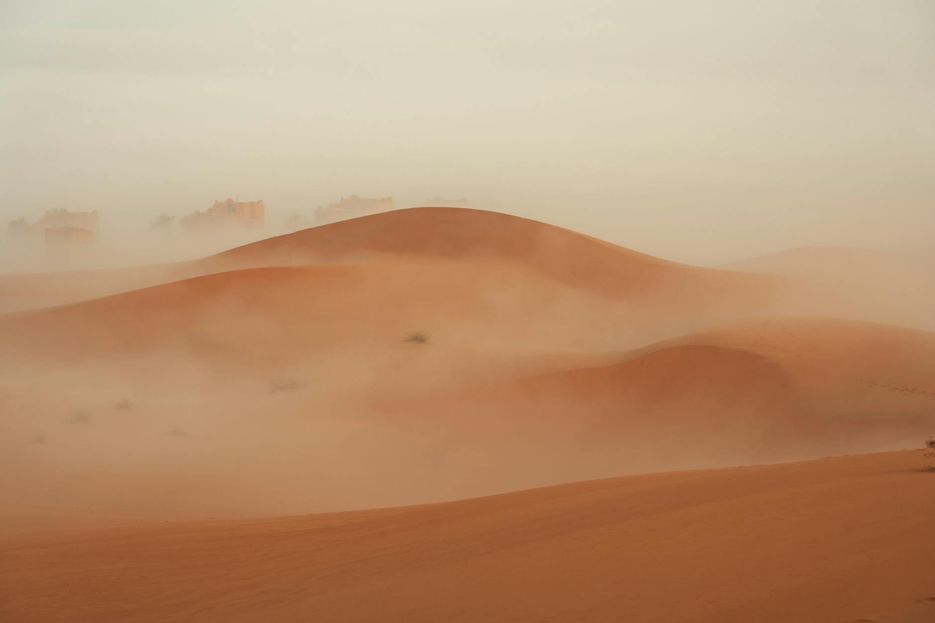 Polvo del Sahara sigue incidiendo en el país; temperaturas de hasta 35 grados y pocas lluvias