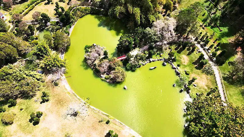 Entrada gratuita y caminata ecológica este 5 de junio en el Jardín Botánico Nacional