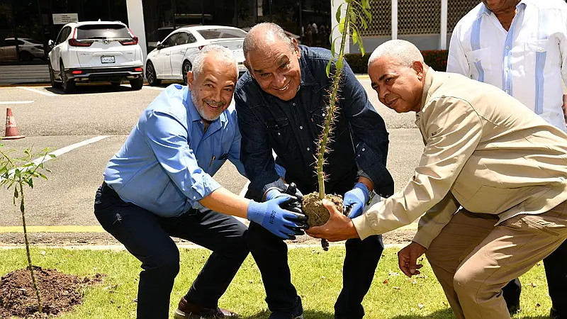 Rosas de Bayahíbe en el jardín del Listín Diario