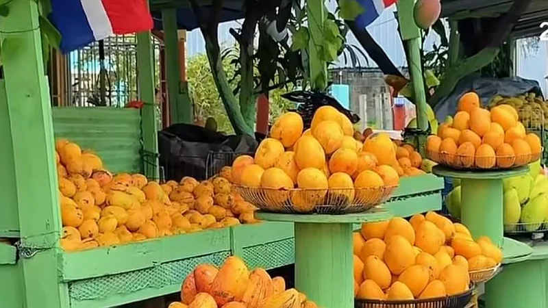 Hipólito Mejía destaca entusiasmo de los visitantes en la Feria del Mango Banilejo