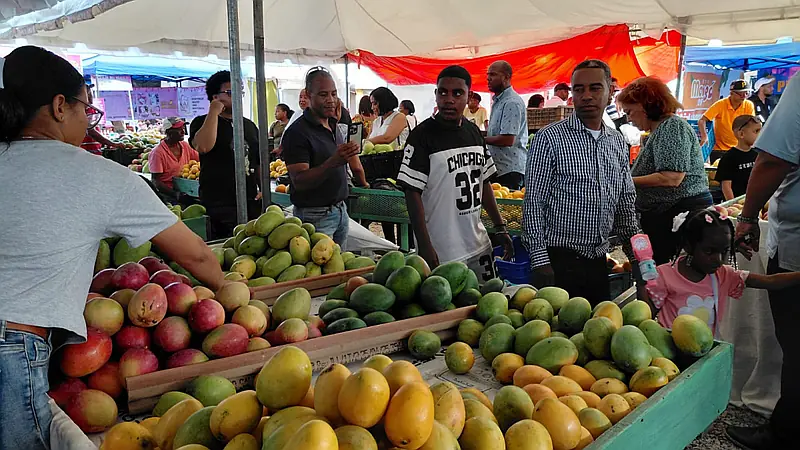 Ministro destaca organización de Feria del Mango