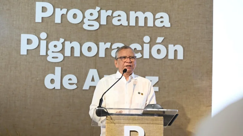 Banreservas dispone RD$12,000 millones para financiar la producción de arroz 2026-2027