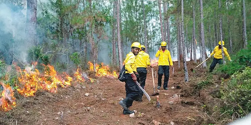 Reportan incendio forestal en Sierra de Bahoruco
