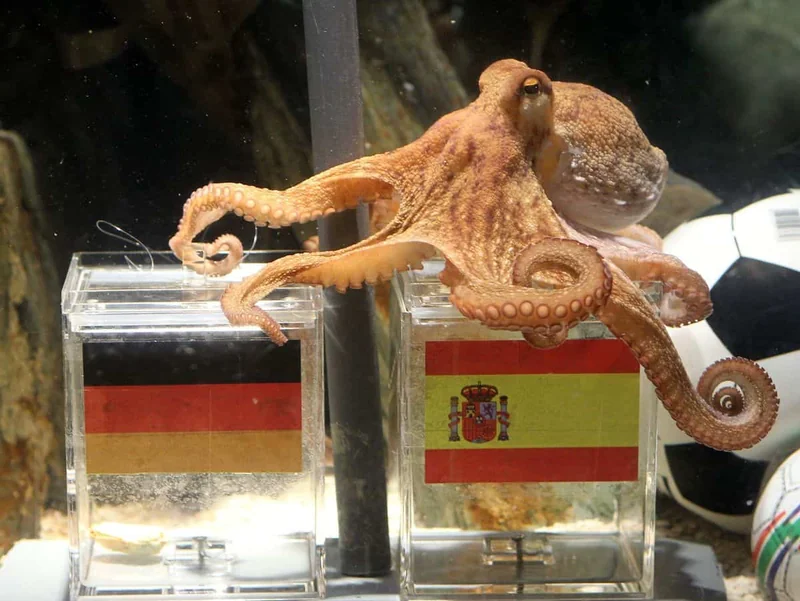 FIFA exculpa a árbitro del Alemania-Curazao de hacer un gesto supremacista