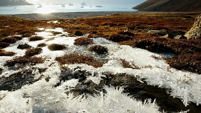 Los “archivos naturales” que pueden alimentar al mundo futuro, víctimas también del clima