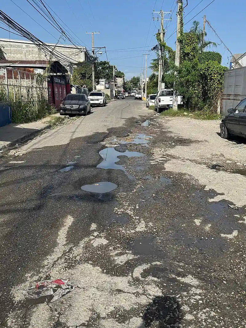 Residentes en zona industrial de Herrera se quejan por descuido sanitario y deterioro de la vía
