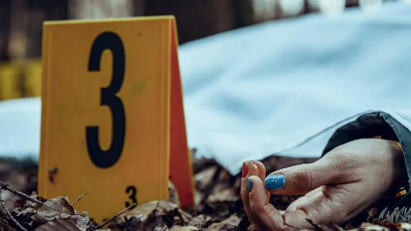 Amnistía Internacional alerta de violencia contra la prensa en México tras asesinato de periodista