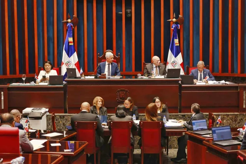 Reforma policial: prohíben revisar genitales, eliminan rango de raso y agentes para privados