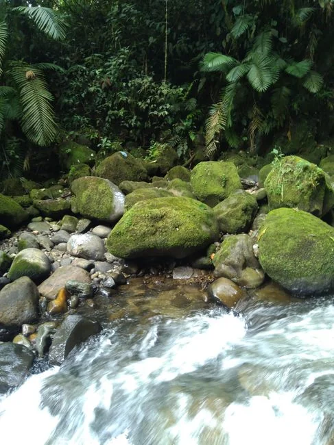 El arroyo desbordado