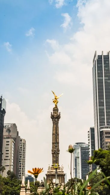 La Reforma Policial