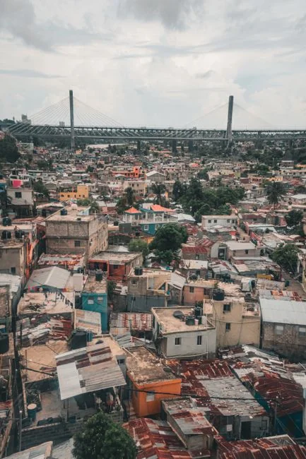 Un pariguayo artificial en Santo Domingo