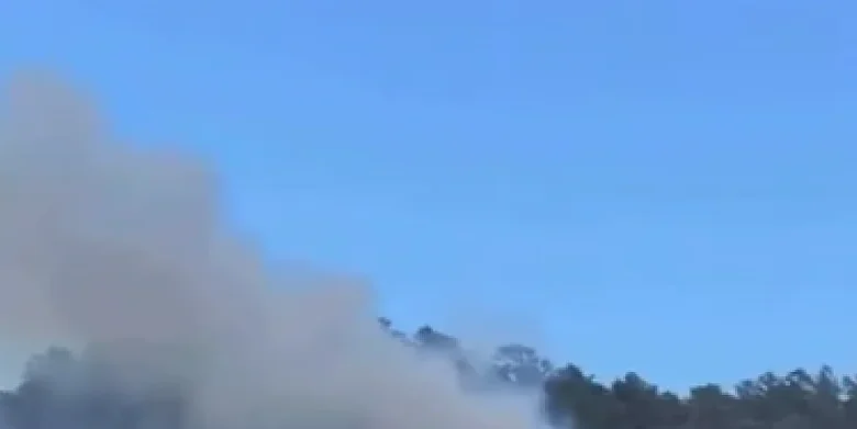 Nuevo incendio forestal en Constanza activa alerta comunitaria en Cañada Seca