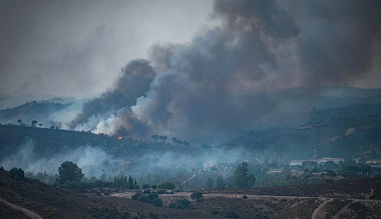 Incendios y calor extremo amenazan la calidad del aire: PM2.5, las partículas que llegan al torrente sanguíneo