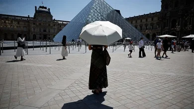 Alerta global: el cambio climático extingue la vegetación de alta montaña