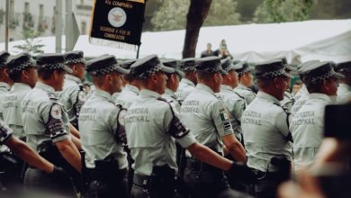 Decreto 615-26: seguridad nacional para el medio ambiente, pero sin sanciones ni plazos