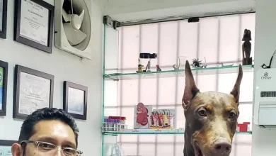 Simulacro Nacional 2026: ¿Qué debe llevar el botiquín para perros y gatos?