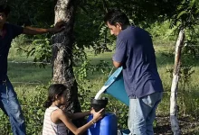 Sequía extrema por El Niño dispara precios del maíz y amenaza alimentos en Centroamérica