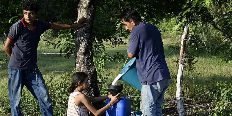 Sequía extrema por El Niño dispara precios del maíz y amenaza alimentos en Centroamérica