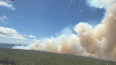 Pedernales se une: más de 250 bomberos combaten incendio en la Sierra de Bahoruco