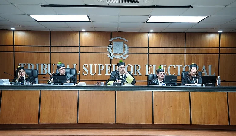 TSE decide futuro de 33 partidos minoritarios: plazos y posibles efectos