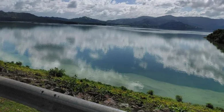 Cianobacterias tóxicas detectadas en presas Hatillo y Valdesia: ¿qué implica para el agua que consumimos?