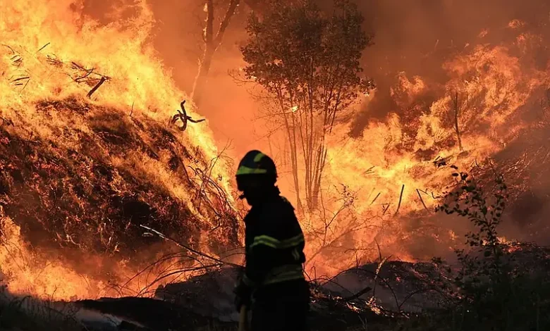 Portugal refuerza lucha contra incendios en el norte con 850 bomberos ante alerta por calor