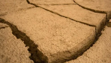 La corteza terrestre se fractura bajo el Pacífico y esto descubrieron los científicos