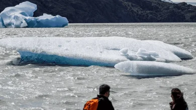 Alerta global: glaciares suizos pierden casi 20% de su masa en solo cinco años