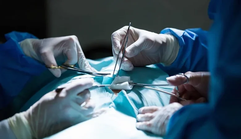 Avance científico: tejido pituitario humano cultivado en laboratorio podría reemplazar píldoras hormonales de por vida