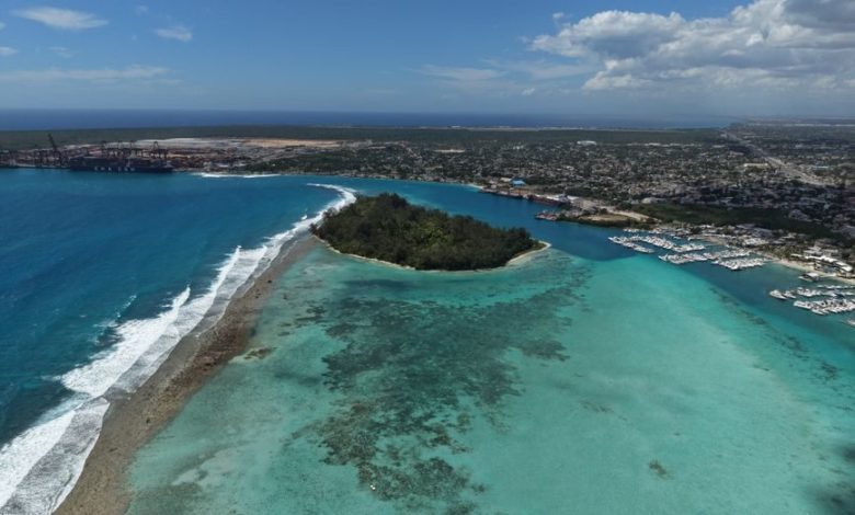 Estudio revela que 44% de corales del mundo está en riesgo de extinción