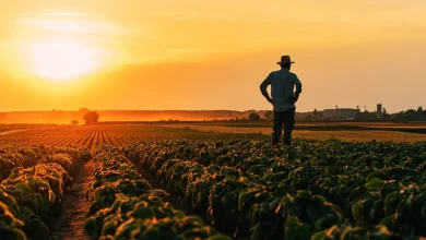 PLE respalda reclamos de agrónomos en su día y pide dignificar la profesión