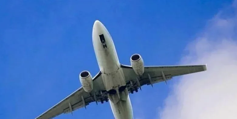 Qué se sabe del avión medicalizado desaparecido: madre e hijo a bordo