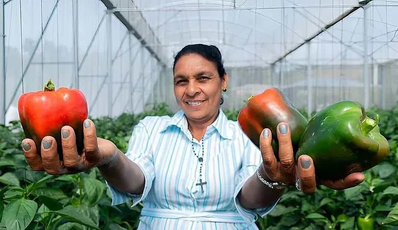 Brecha rural-urbana: mujeres del campo dominicano con más pobreza y menos empleo, según ONE