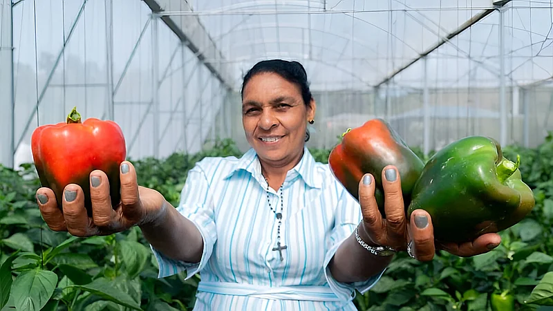 Brecha rural-urbana: mujeres del campo dominicano con más pobreza y menos empleo, según ONE
