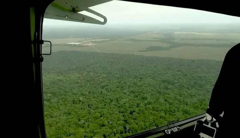 Deforestación global baja 15% en 2025: qué significa para República Dominicana