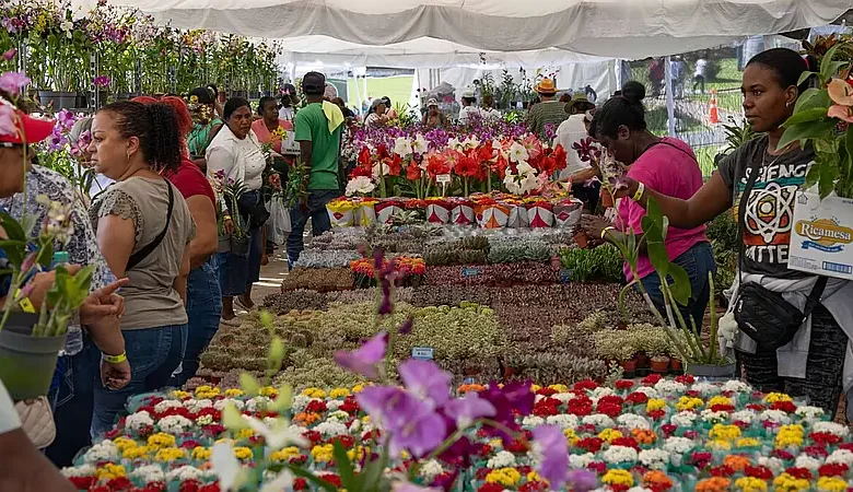 Festival de Plantas y Flores abre hasta el 18 de octubre con entrada a RD$200