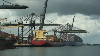 Exportaciones dominicanas crecerán 14 % en 2026 pese a arancel de 10.4 % en EE. UU.