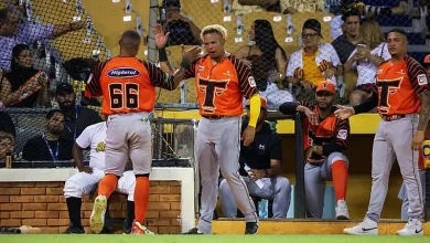 Toros conectan tres jonrones y vencen 7-4 a las Águilas en La Romana